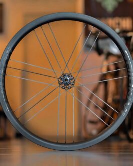 獵犬輪組 Salukivi G3 36D 公路車 碳纖維 碟煞輪組 1270g G3編法 G336