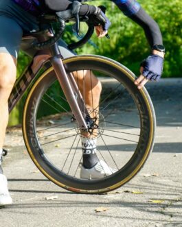 獵犬輪組 Salukivi G3 50D 公路車 碳纖維 碟煞輪組 1350g G3編法 G350